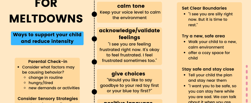 Strategies for how to handle a meltdown