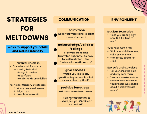 Strategies for how to handle a meltdown